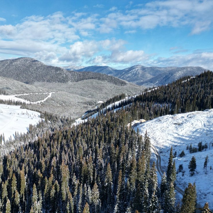 an aerial view of a snowy mountain range with trees covered in snow .