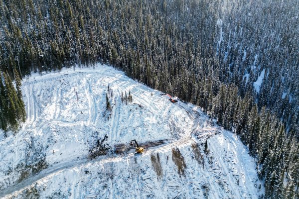 an aerial view of a logging operation in a snowy forest .