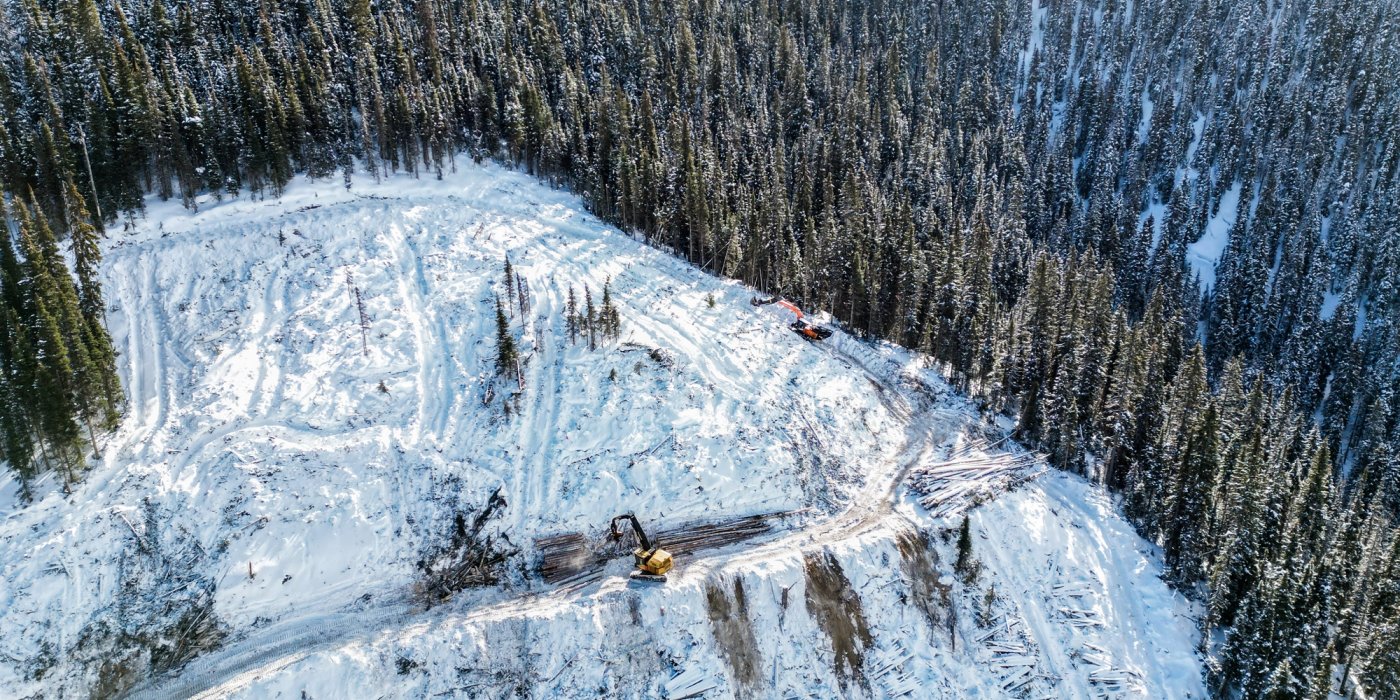 an aerial view of a logging operation in a snowy forest .