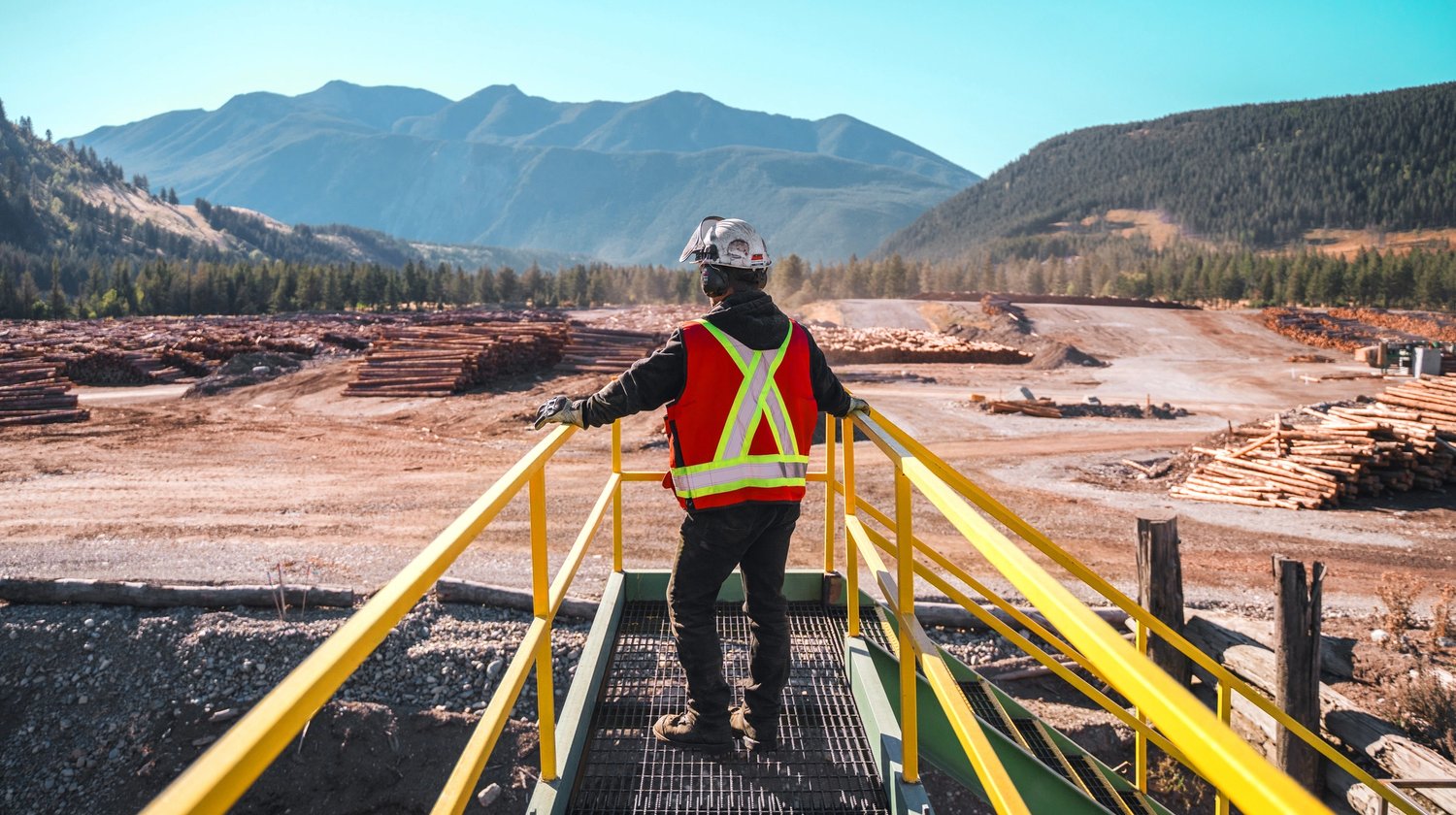 a man in a safety vest is standing on a bridge overlooking a forest .
