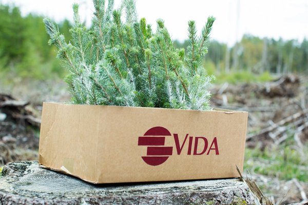 a cardboard box filled with small trees is sitting on top of a tree stump .