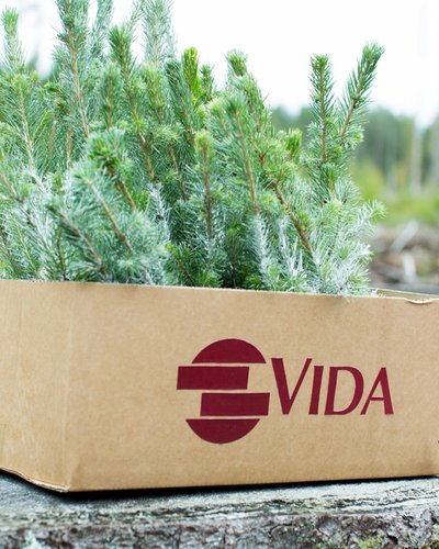 a cardboard box filled with small trees is sitting on top of a tree stump .