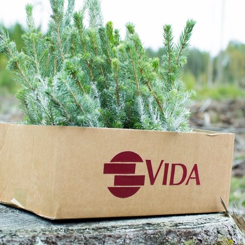 a cardboard box filled with small trees is sitting on top of a tree stump .