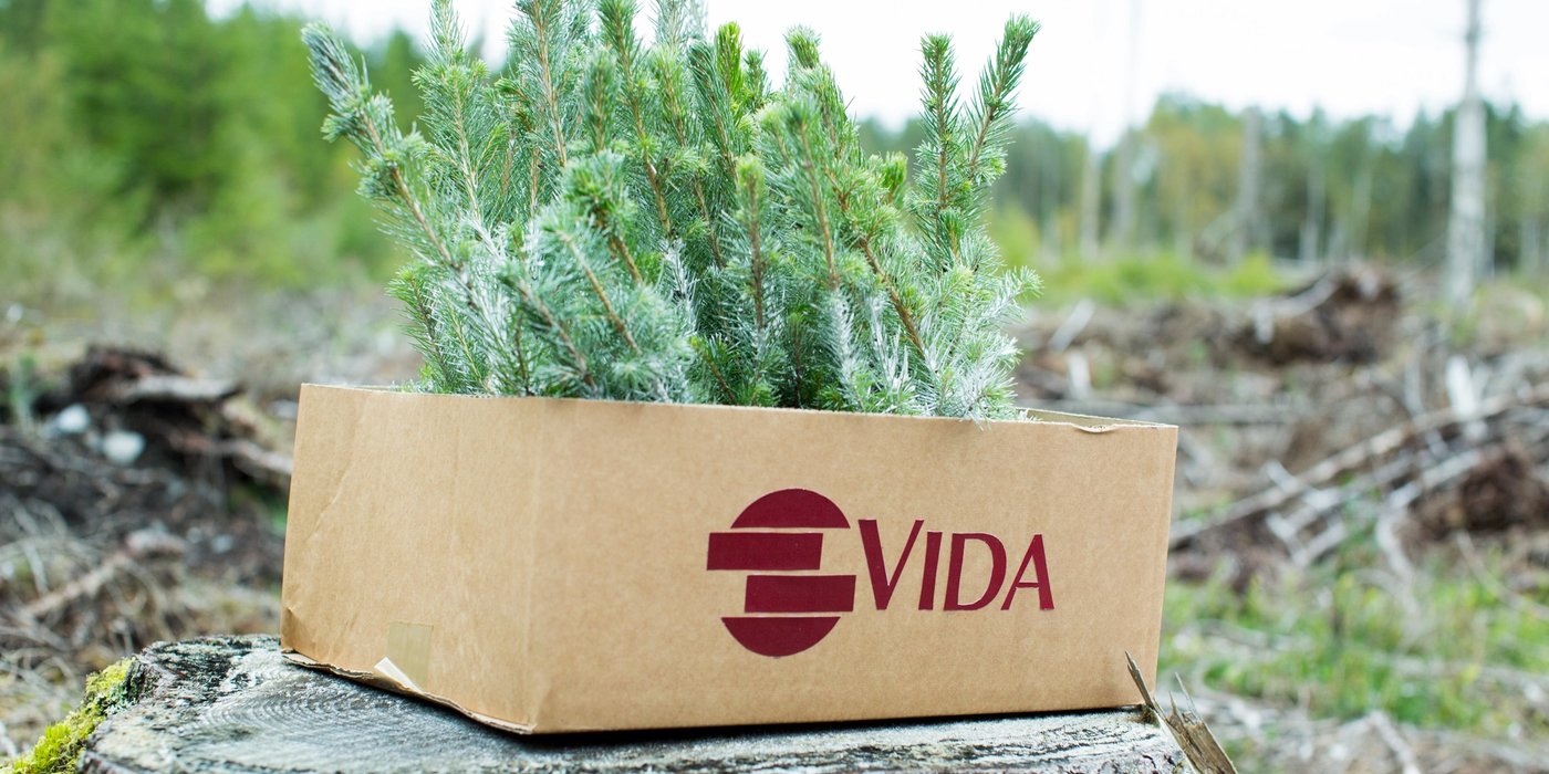 a cardboard box filled with small trees is sitting on top of a tree stump .