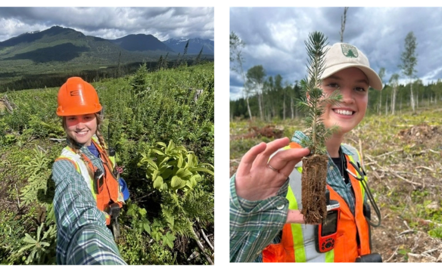 Two photos of a smiling woman in forestry attire: one in a cleared forest with mountains, the other holding a small tree seedling.
