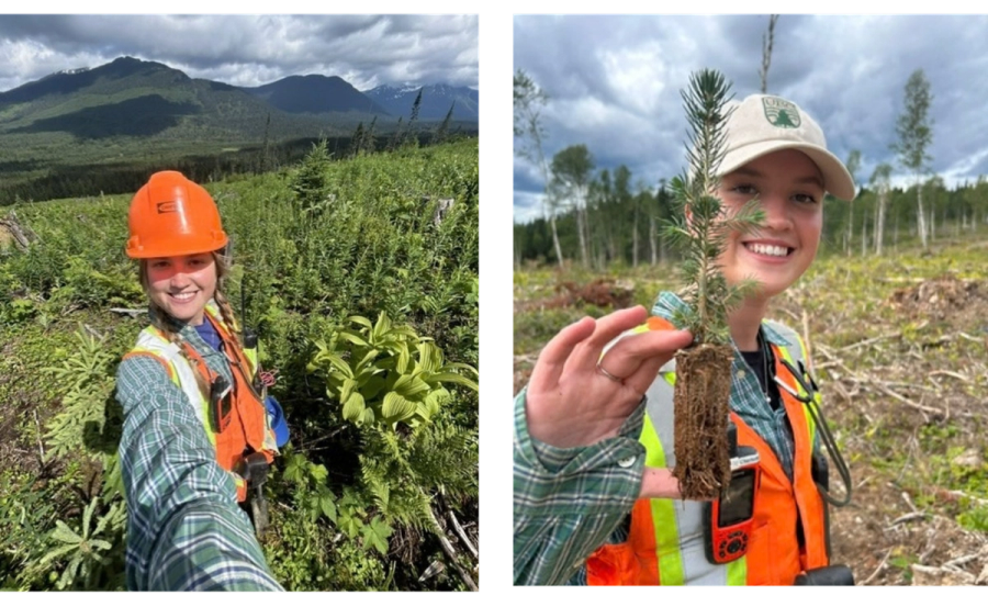 Two photos of a smiling woman in forestry attire: one in a cleared forest with mountains, the other holding a small tree seedling.
