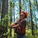 a man in an orange safety vest and hard hat is in a forest, using a tape measure to measure the diameter of a southern yellow pine tree..