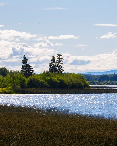 there is a small island in the middle of the lake .