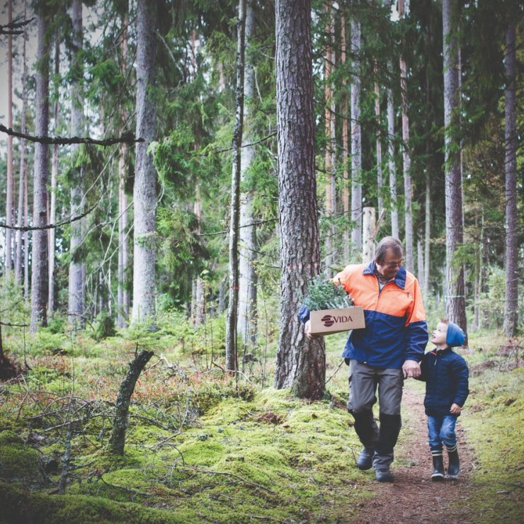 A man and a child are walking through a forest holding hands.