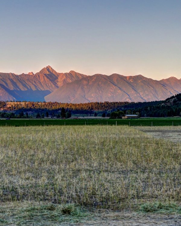 a field with mountains in the background and a fence in the foreground .