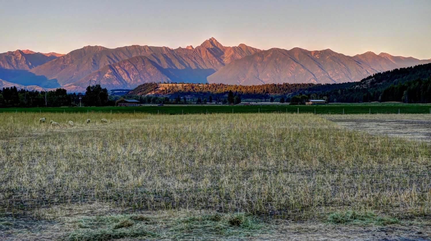 a field with mountains in the background and a fence in the foreground .