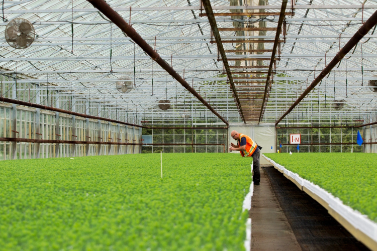 a greenhouse with a sign that says exit on it