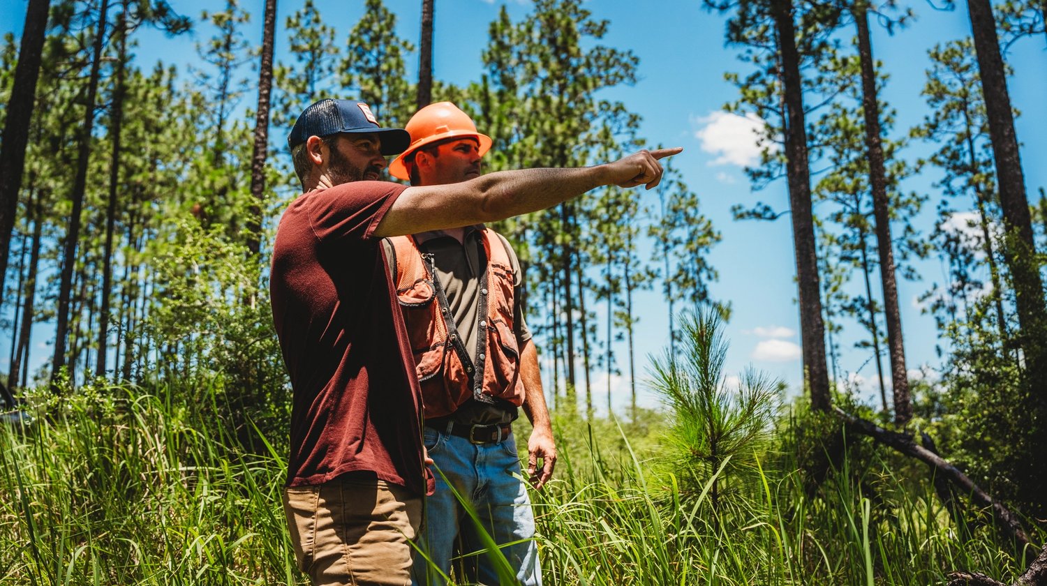 two men are standing in the middle of a forest pointing at something .