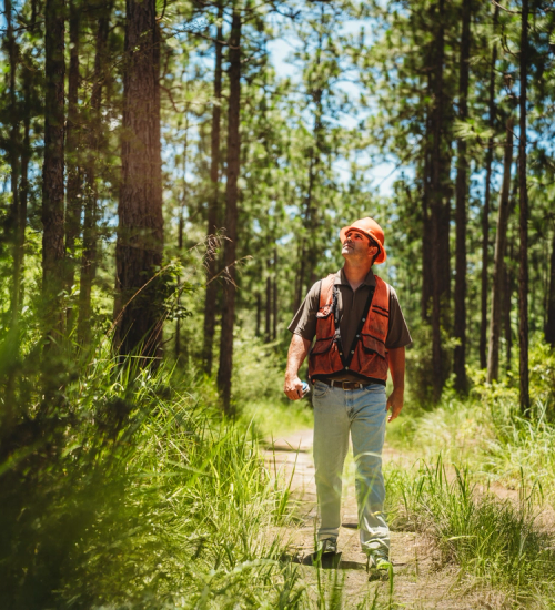 Person with safety equipment walking in the woods