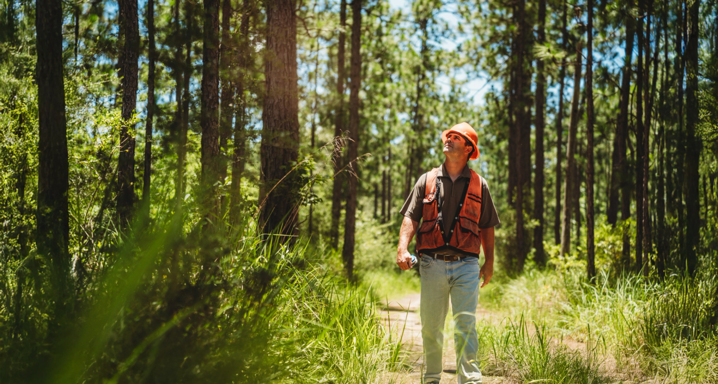 Person with safety equipment walking in the woods
