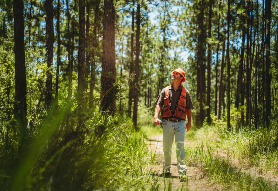 News Releases Canfor news-releases-canfor