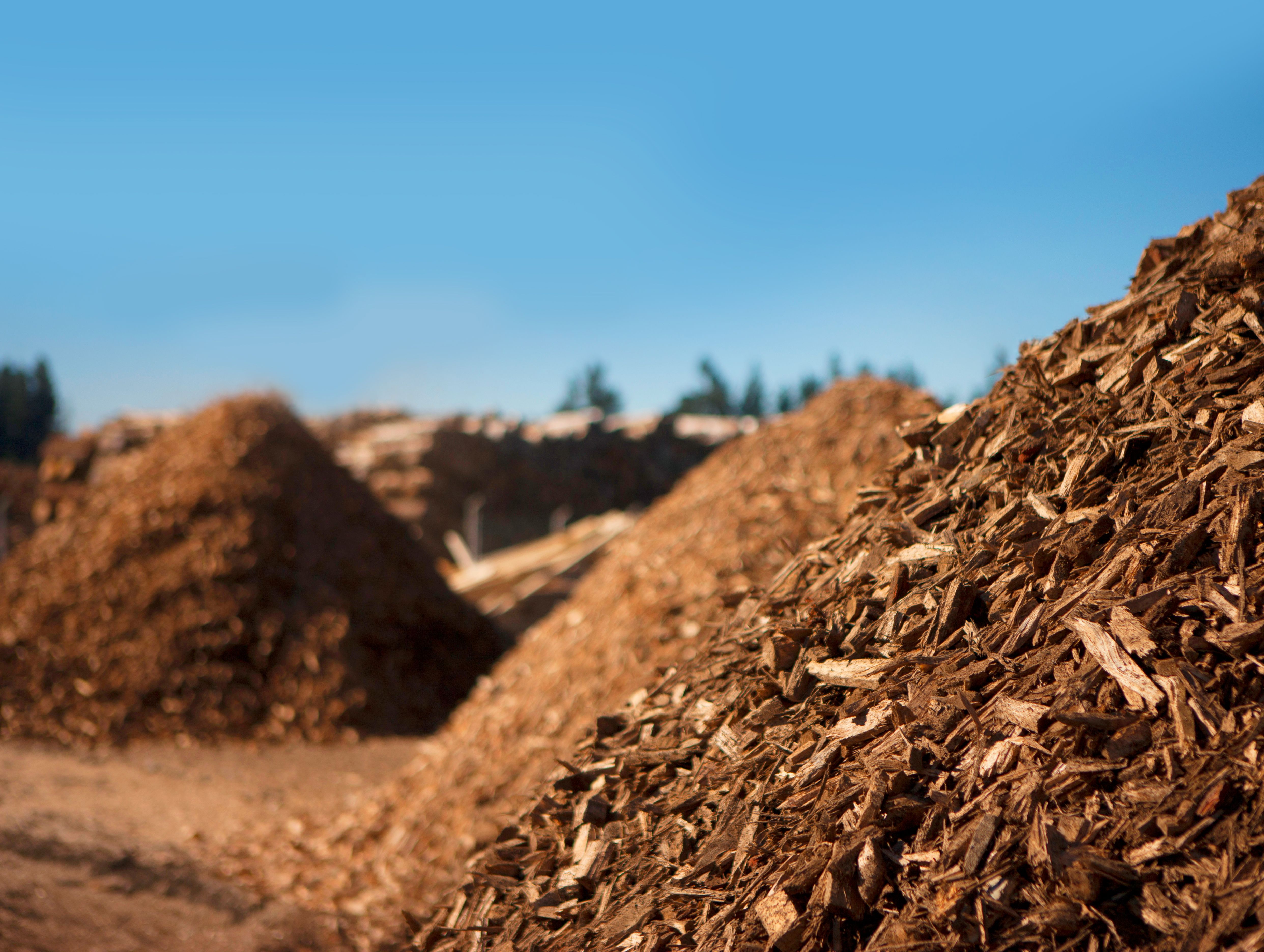 a pile of wood chips is sitting on top of a dirt field .
