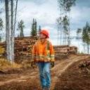 A person in an orange hard hat and safety vest stands on a dirt path in a cleared forest area with stacks of logs in the background.