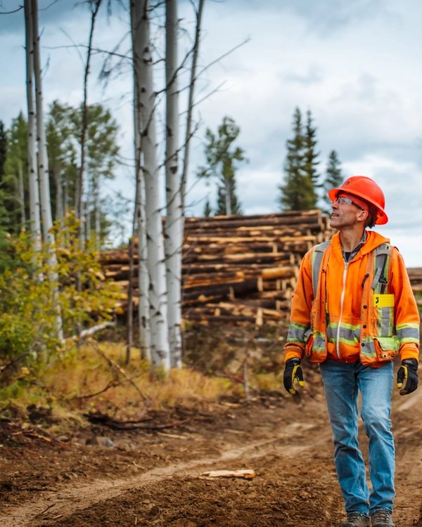 A logger in a hard hat and safety vest walks on a dirt road through a forest with stacks of cut logs.