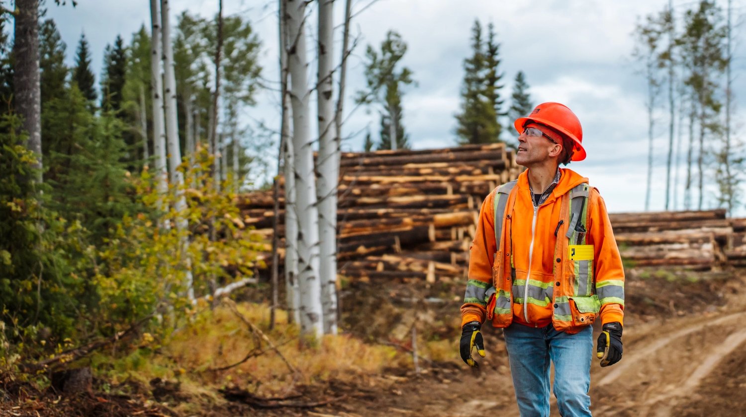 A logger in a hard hat and safety vest walks on a dirt road through a forest with stacks of cut logs.