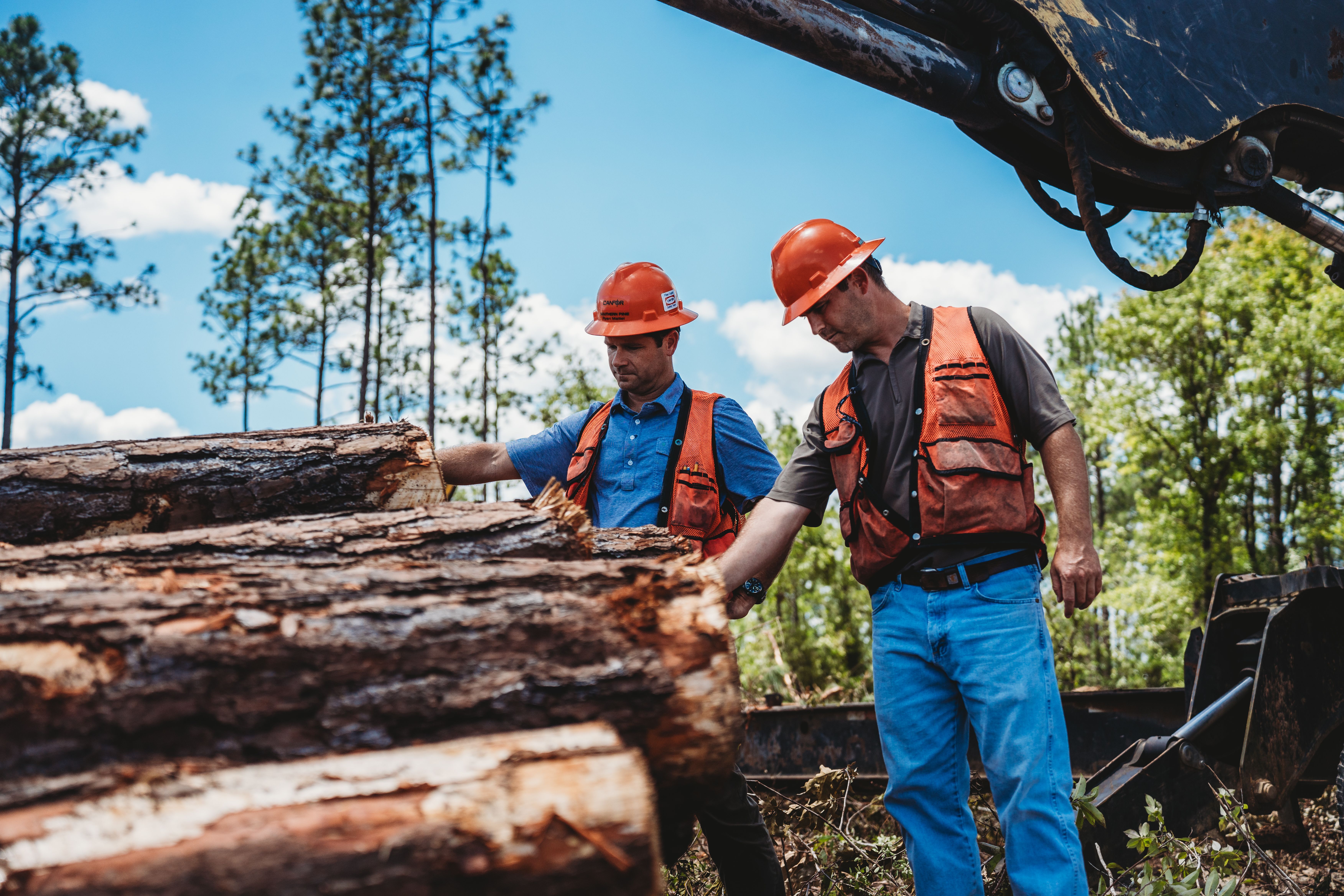 Two men in hard hats and orange vests inspect a pile of cut logs.