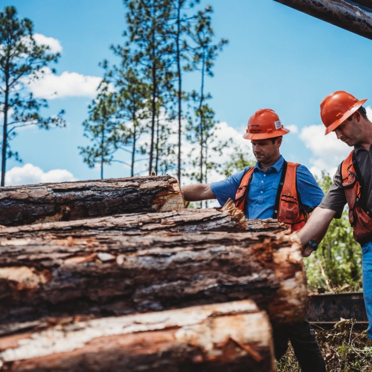 Two men in hard hats and orange vests inspect a pile of cut logs.