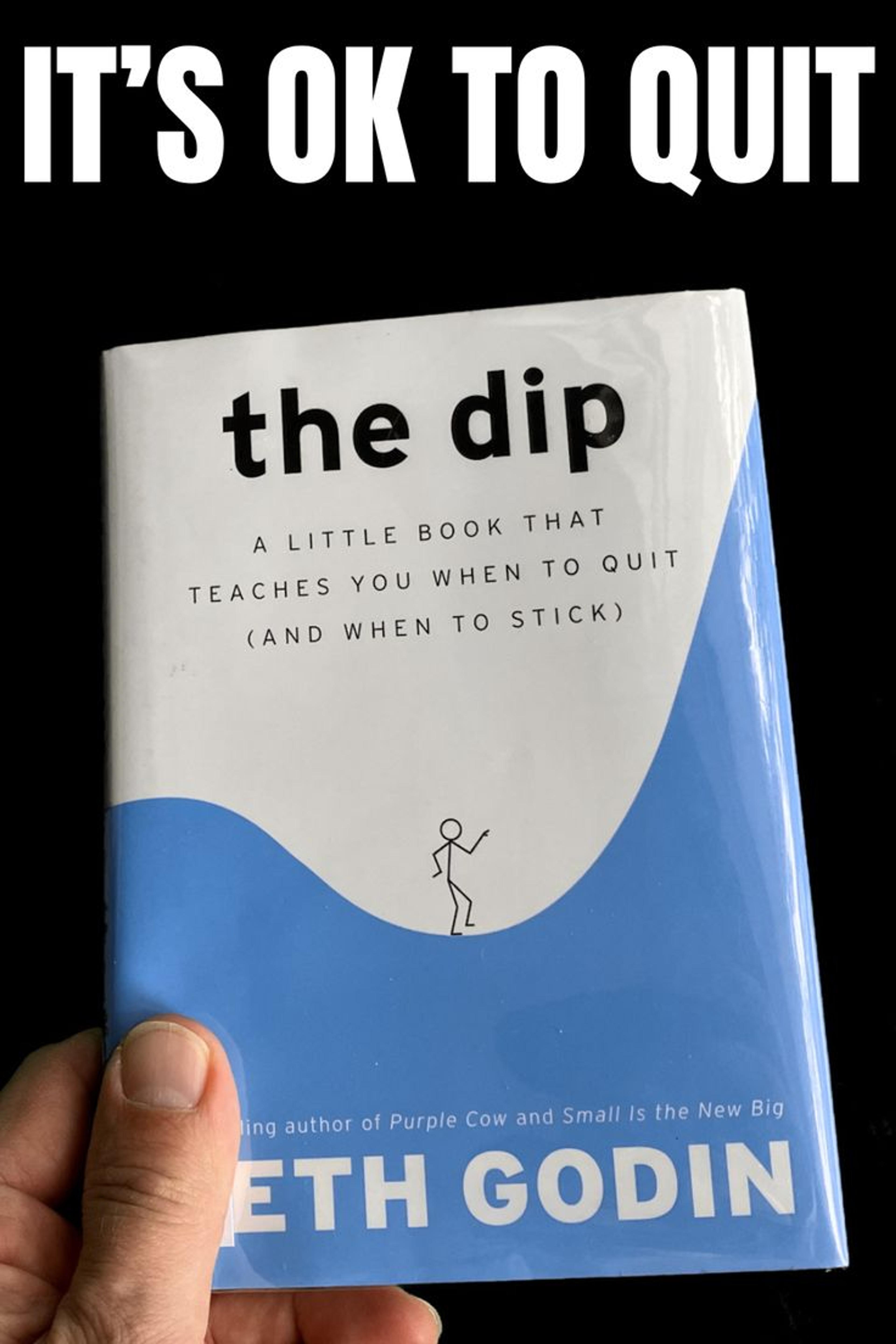 The Dip: A Little Book That Teaches You When to Quit (and When to Stick)