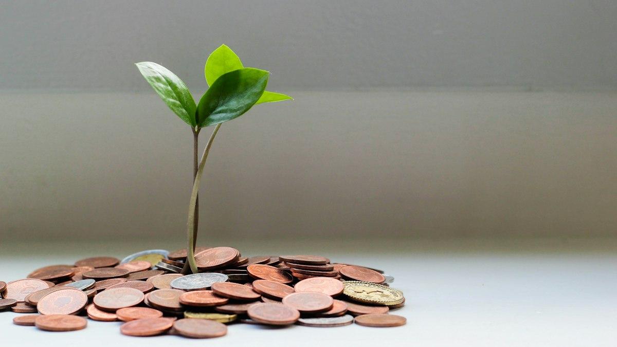 Why Your Nervous System Dictates Your Spending Habits