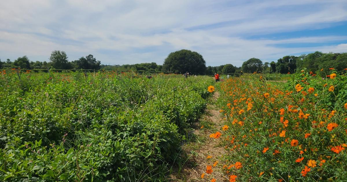Trust Partners with Perfect Earth Project on Living Lands Program