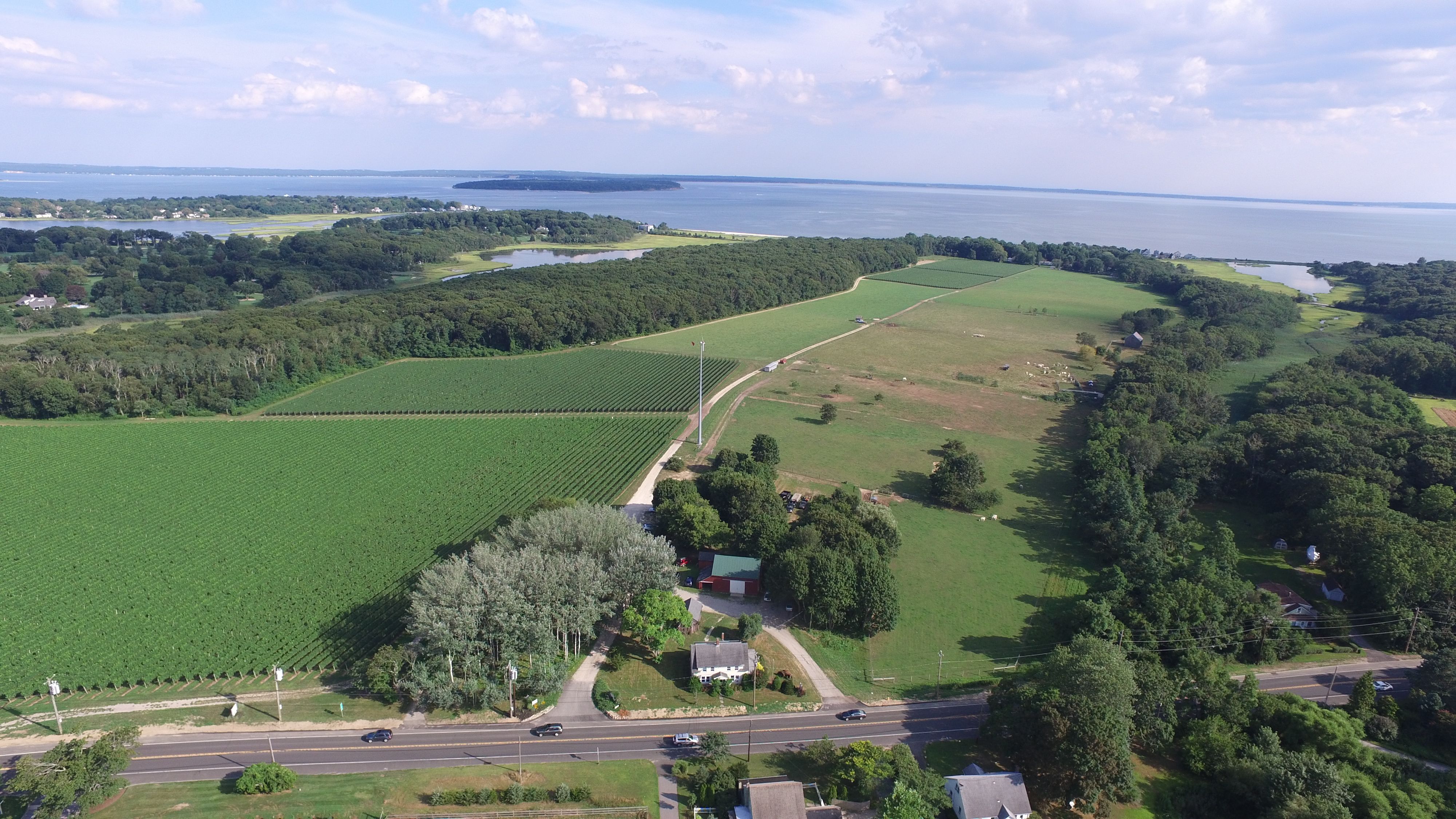Downs Farm Preserve