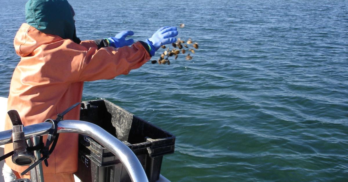 Stewardship: Caring for the Land and Water