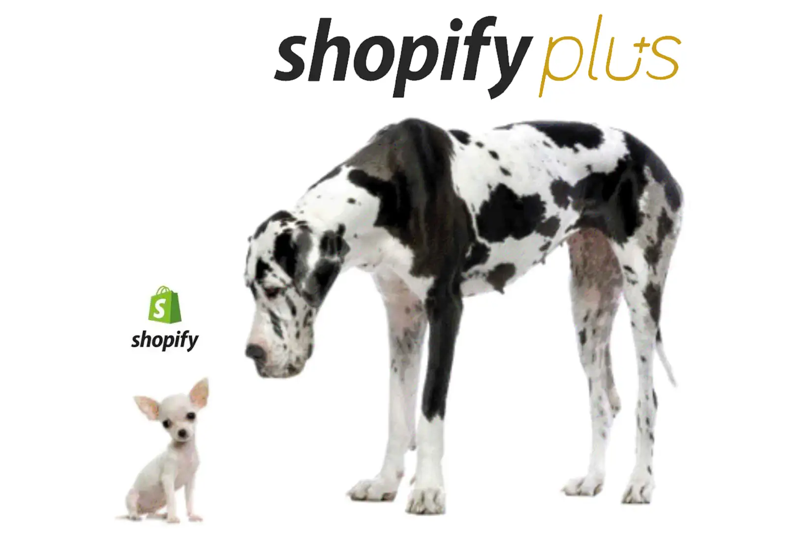 shopify vs shopify plus.png