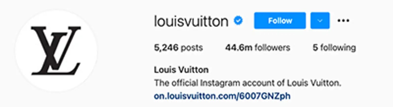 louis vuitton su instagram.jpg