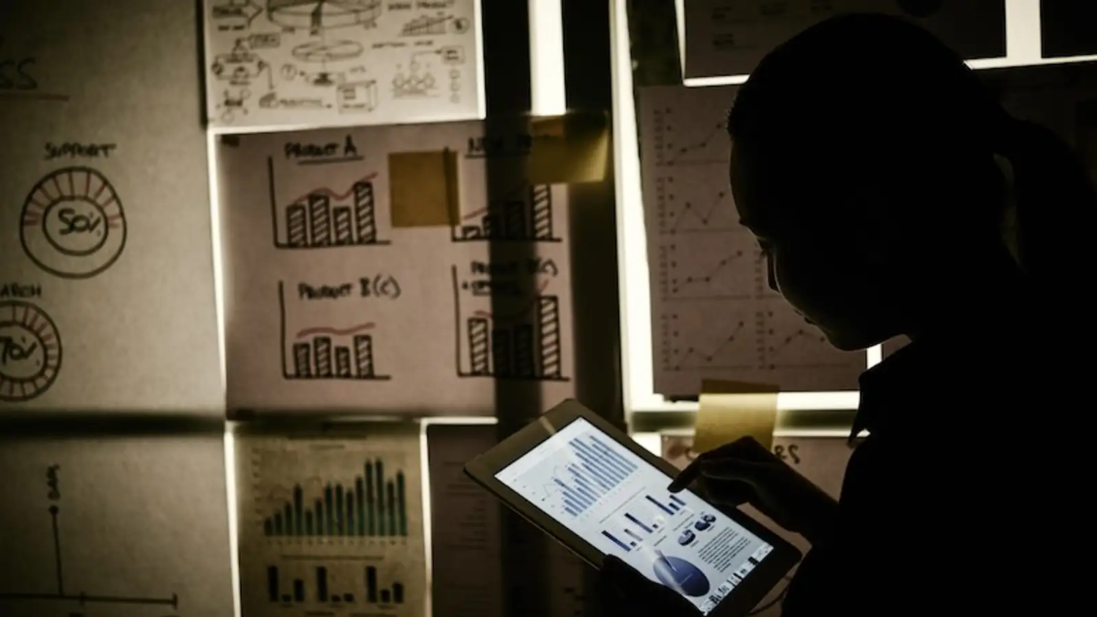 donna seduta vicino a finestra con grafici attorno.jpg