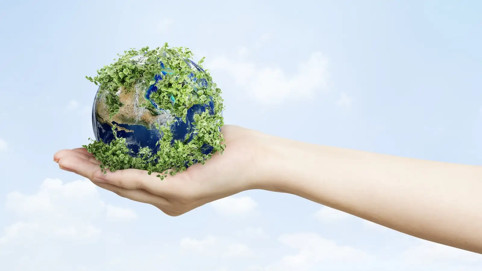 ecologia - mano con un pianeta verde in mano.jpg