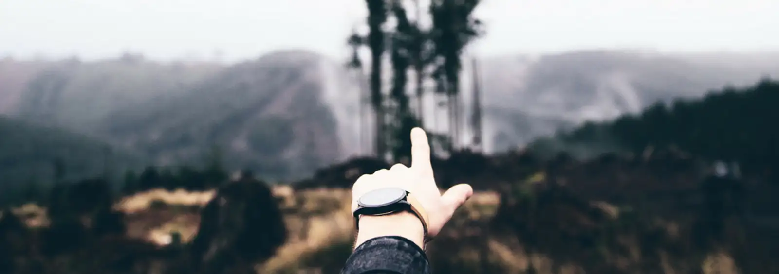 6 aspetti team commerciale di successo.png