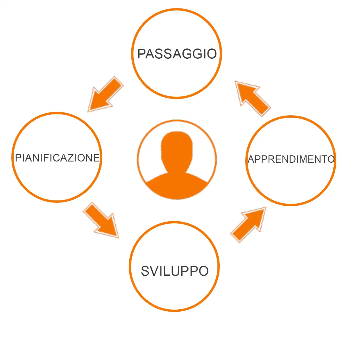 growt_driven_design_ciclo.png