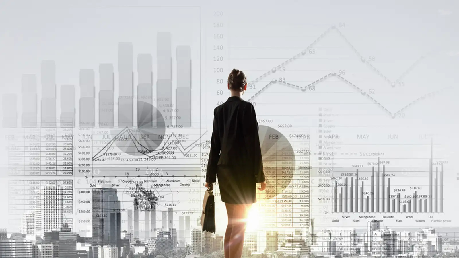 Rear view of businesswoman looking at business marketing strategy.jpeg