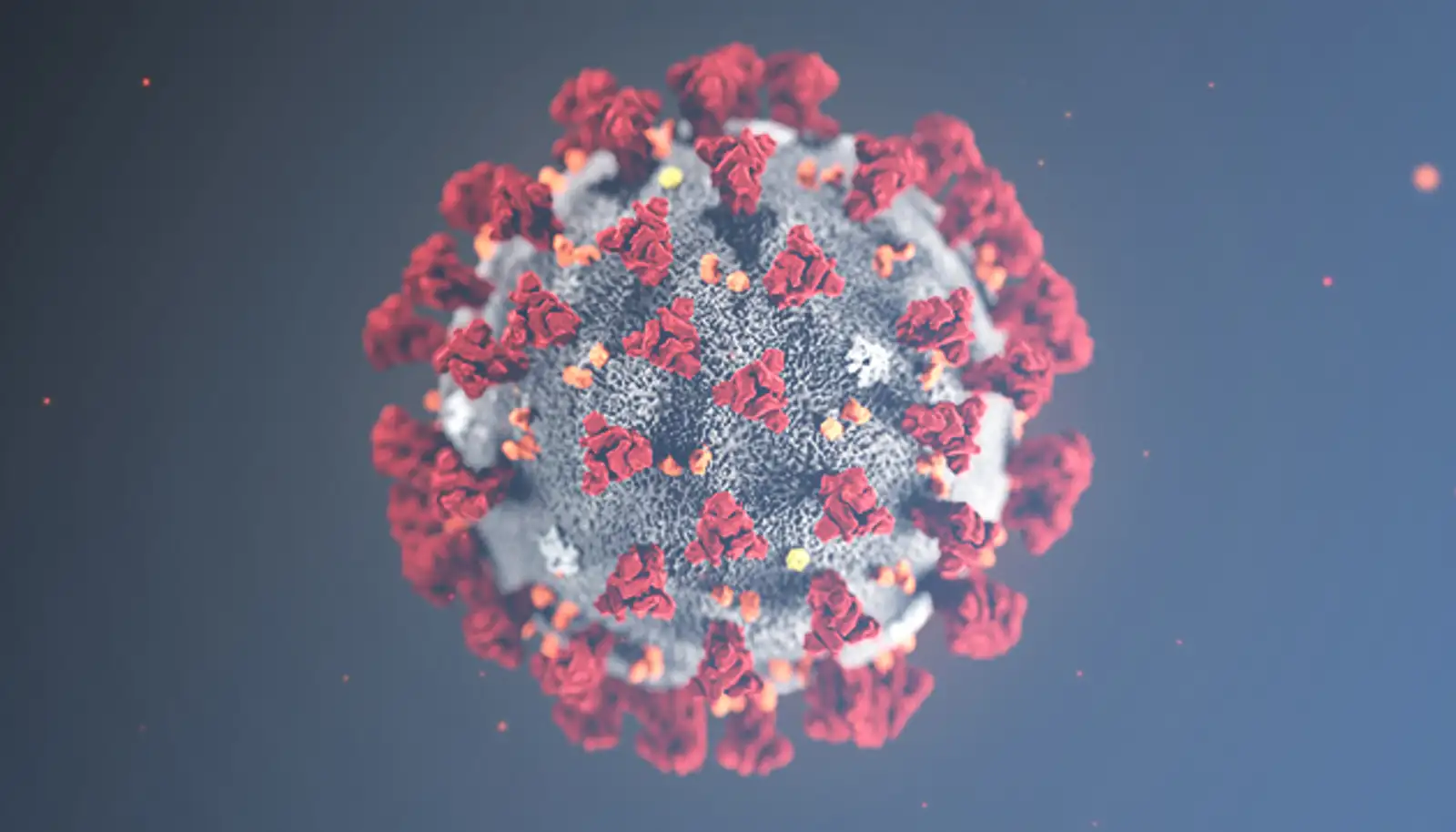 Coronavirusl.jpg