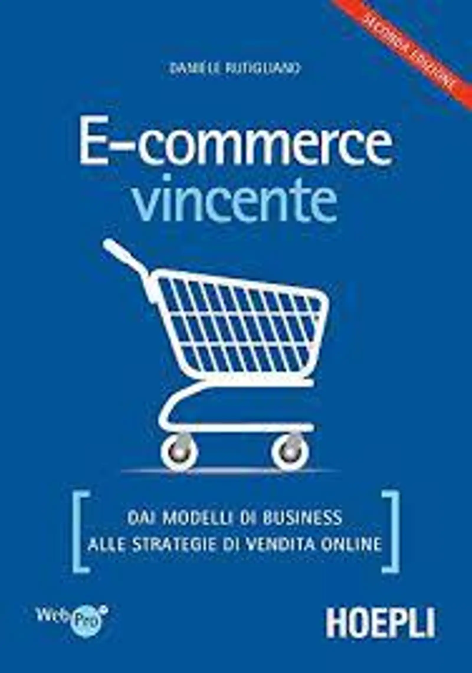 Ecommerce vincente.jpg