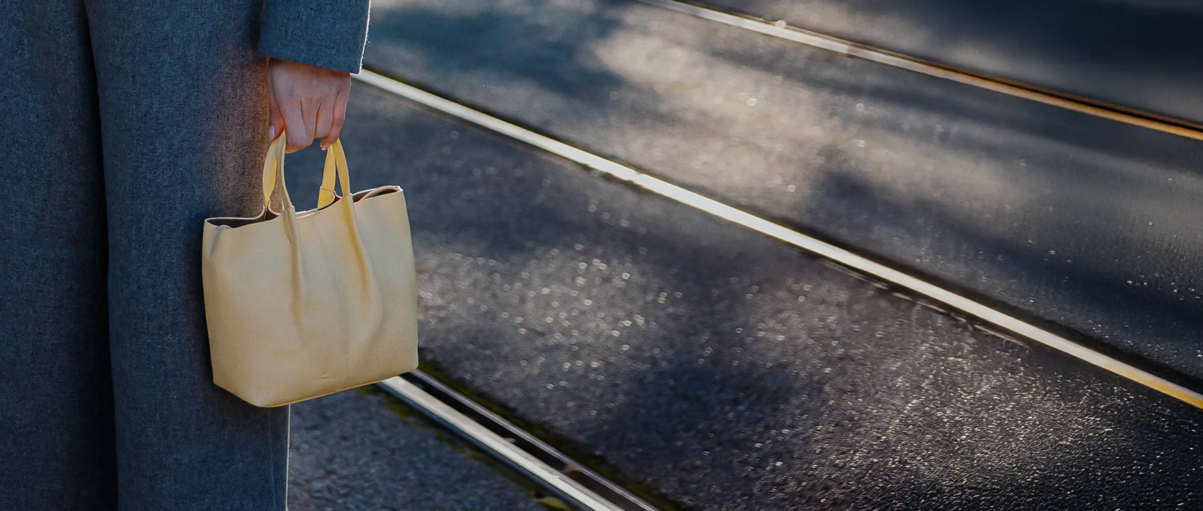 Immagine cover case il bisonte 100%