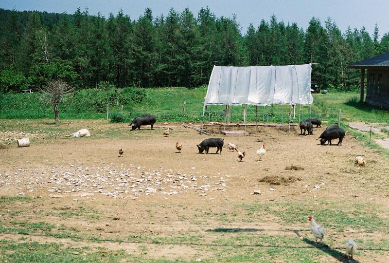 Hokkaido Bikepacking Journal