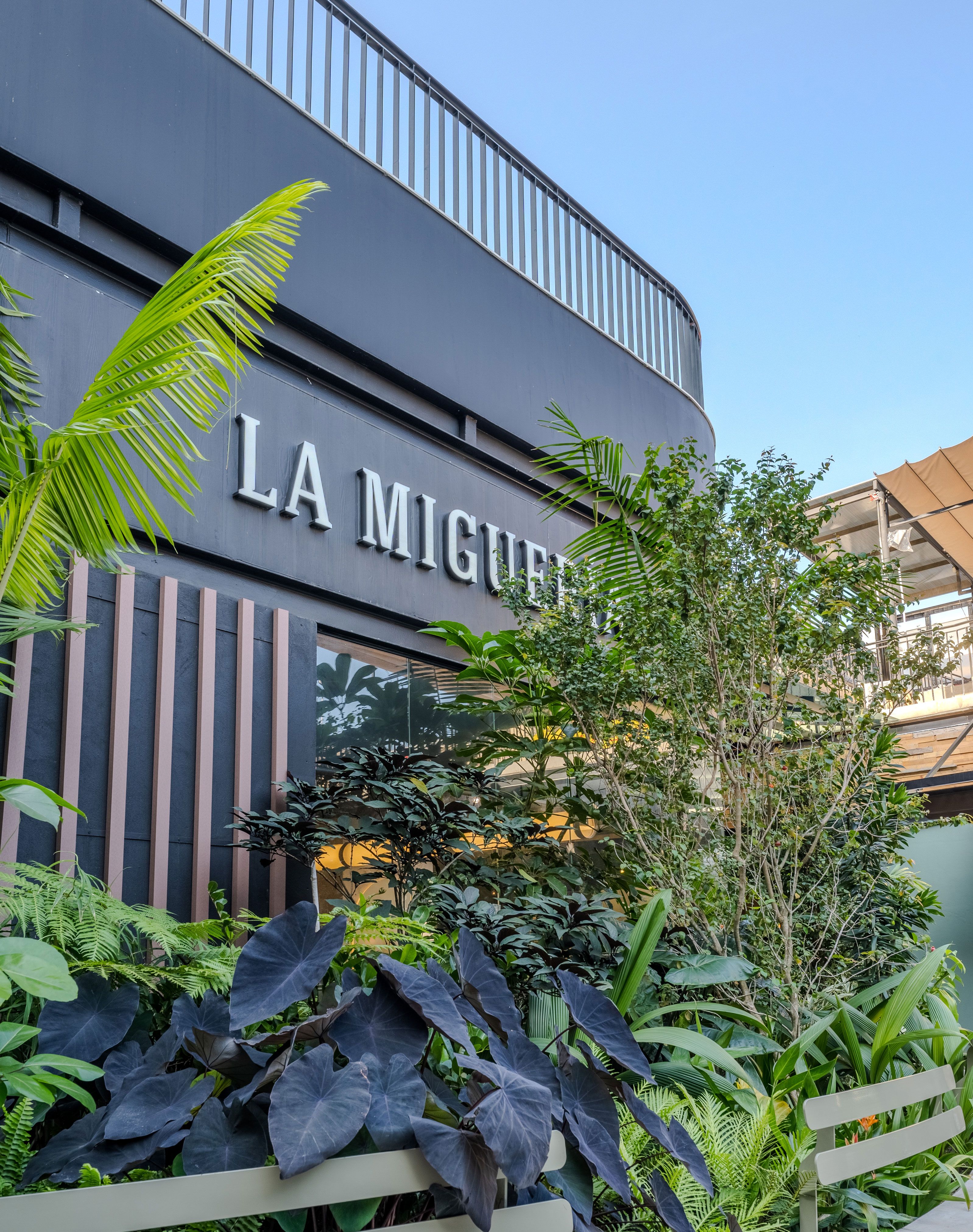 LA MIGUERÍA — Envigado