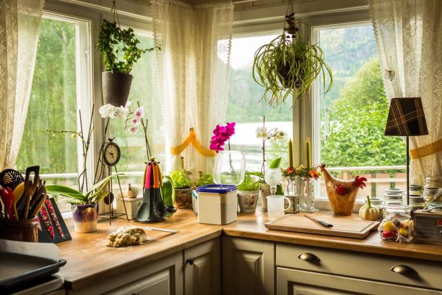 Kitchen counter with a lot of items; dough, utensils, knife on cutting board, and plants standing on the bench as well as hanging from the window. Through the window you can see trees and a river. 