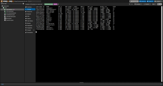 The Proxmox web console on my home server, listing the containers running inside the Docker LXC with their processor, memory and network use side by side.