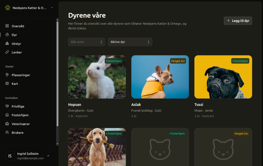 The animal register in Poteportalen, filtered to active animals: a grid of cards with a photo, name, breed, sex and age for each one, and a badge saying whether it is in a foster home or newly caught.