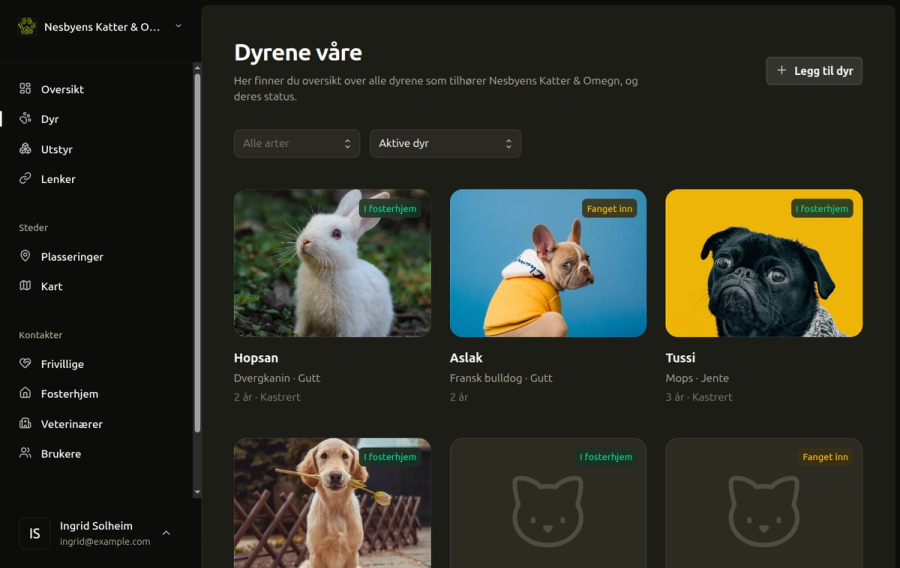 The animal register in Poteportalen, filtered to active animals: a grid of cards with a photo, name, breed, sex and age for each one, and a badge saying whether it is in a foster home or newly caught.