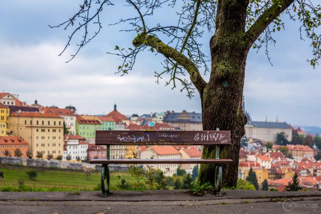 An empty graffitied bench under a bare tree on a hillside, with red rooftops and a castle spread out below.