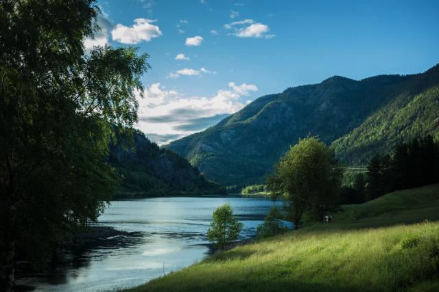 A slow blue river between steep forested hillsides, birch branches overhanging from the left and a grassy bank on the right.