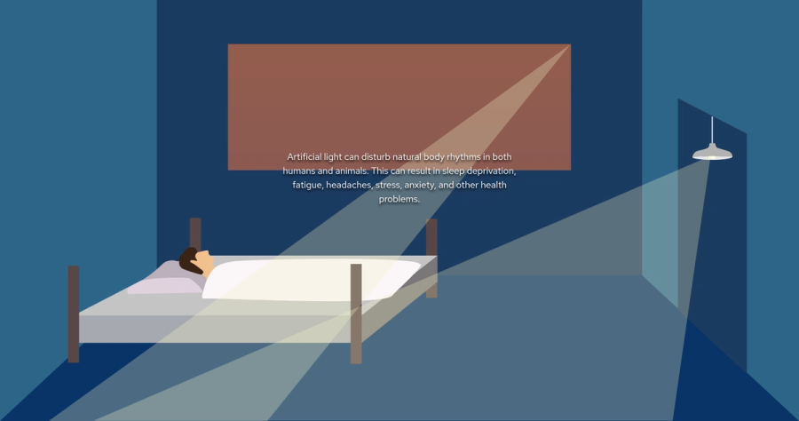 Illustration of a dark bedroom at night. A person sleeps under a white duvet in a wooden bed while a pendant lamp beyond the doorway throws pale beams of light across the floor, the bed and the wall above it. Caption: "Artificial light can disturb natural body rhythms in both humans and animals. This can result in sleep deprivation, fatigue, headaches, stress, anxiety, and other health problems."